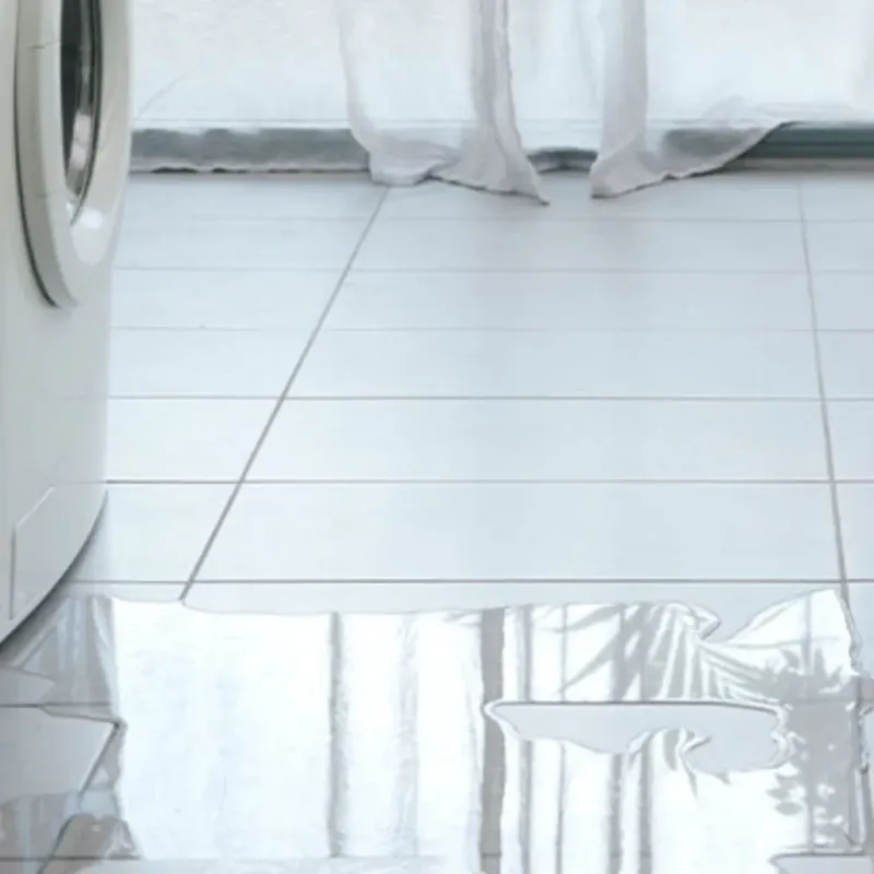 Appliance Leak Cleanup in Greenfield, MA