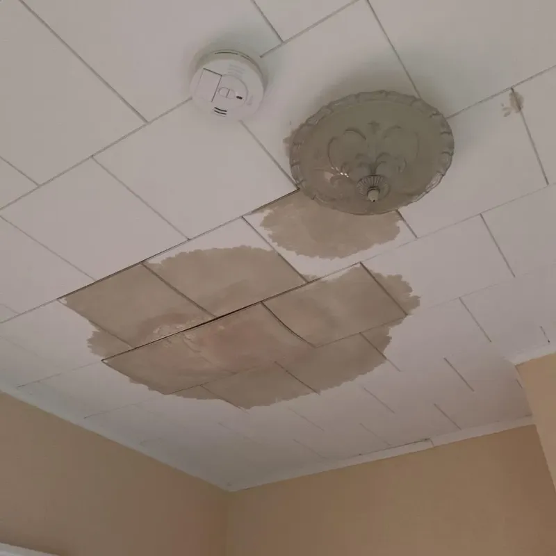 Ceiling Water Damage Repair in Greenfield, MA